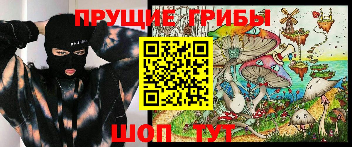 Псилоцибиновые грибы Psilocybe Беслан
