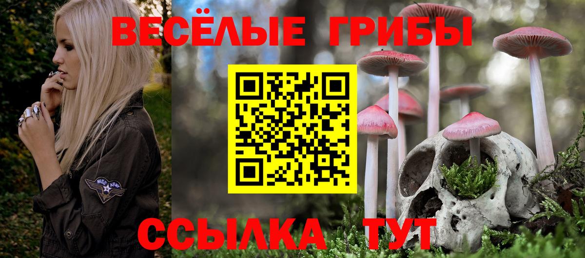 Галлюциногенные грибы ЛСД  Вход с VPN  Беслан  Псилоцибиновые грибы Psilocybine cubensis 